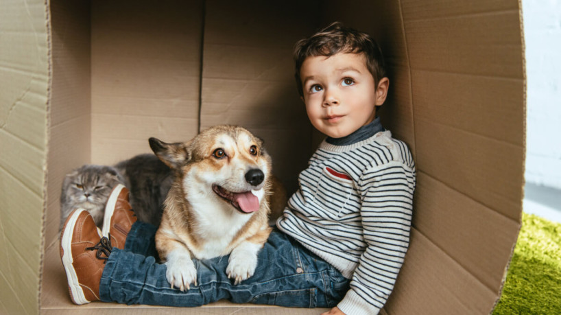 Ter um cachorro como amigo desde criança contribui para o bom desenvolvimento (Imagem: LightField Studios | ShutterStock)