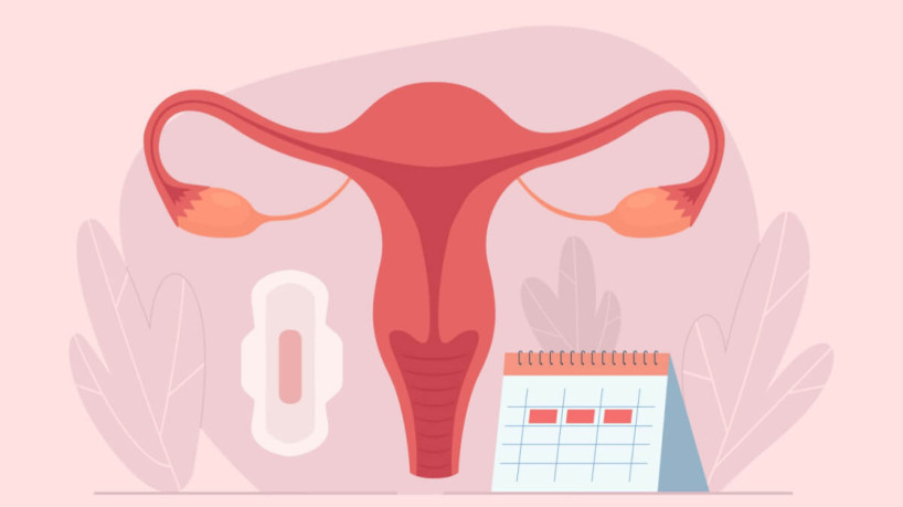 A cólica é comum durante o período menstrual (Imagem: Nazarkru | Shutterstock)