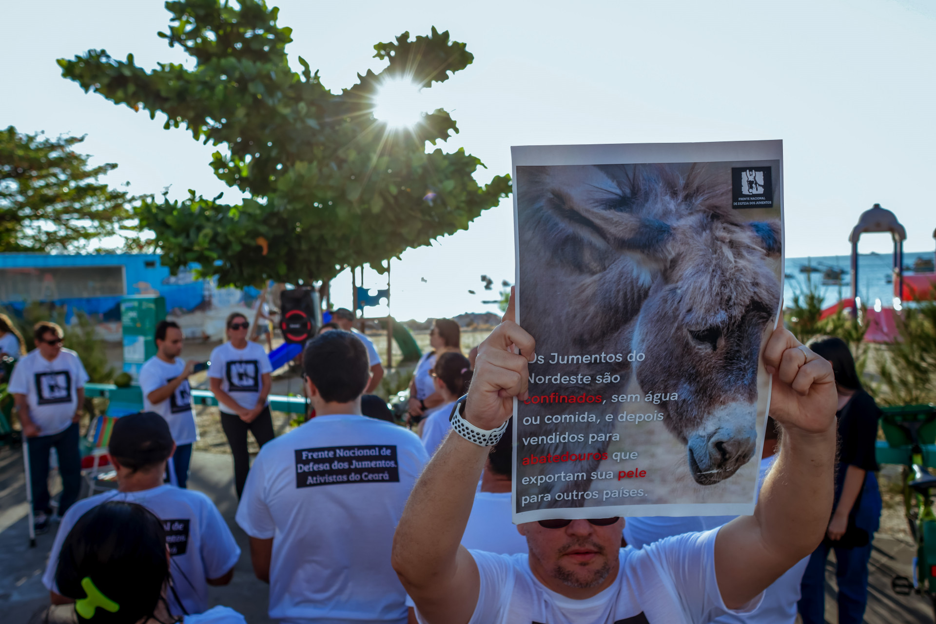 ￼O grupo de manifestantes se reuniu na avenida Beira-Mar, em frente ao Mercado dos Peixes, neste domingo, 30 (Foto: Aurélio Alves / O POVO)