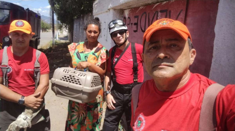 Equipe resgatou o animal na manhã desse domingo, 13