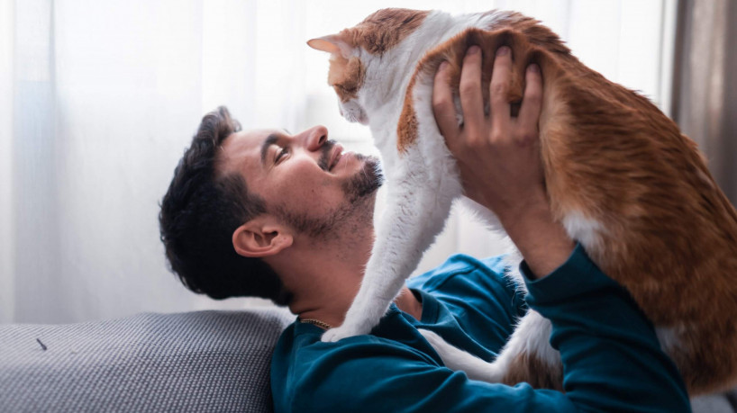 O som do ronronar de um gato demonstra contentamento e satisfação (Imagem: Magui RF | Shutterstock)