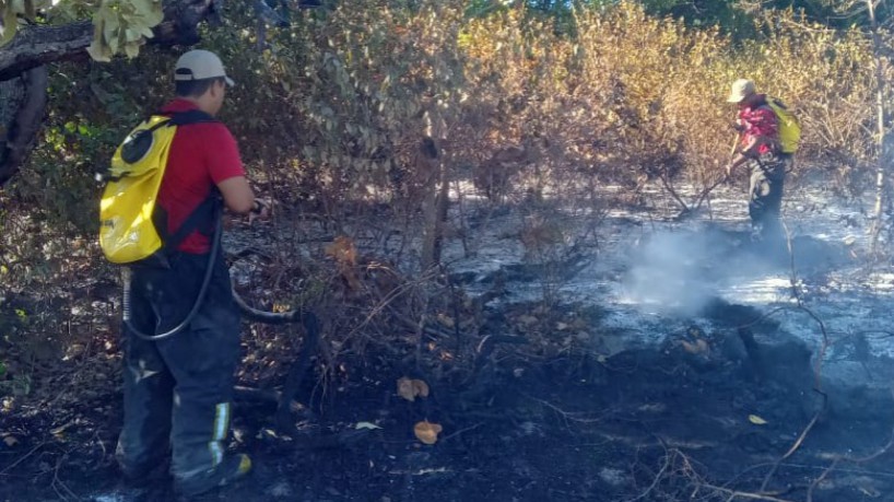 Corpo de Bombeiros atua no rescaldo do incêndio em área verde no Edson Queiroz