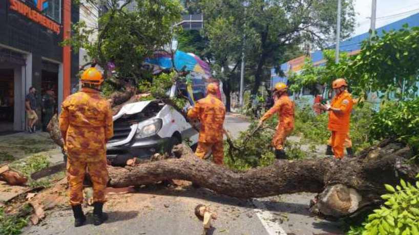 Bombeiros realizam vistorias e atendem ocorrências quando há risco de quedas