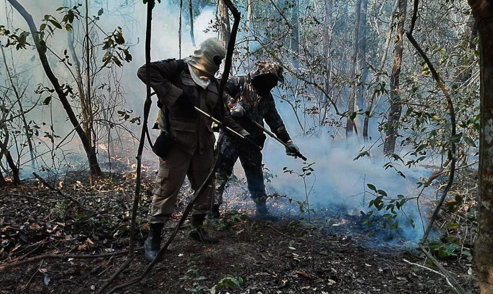 Incêndios no Pantanal: seca contribui para o aumento nos focos de incdêndio