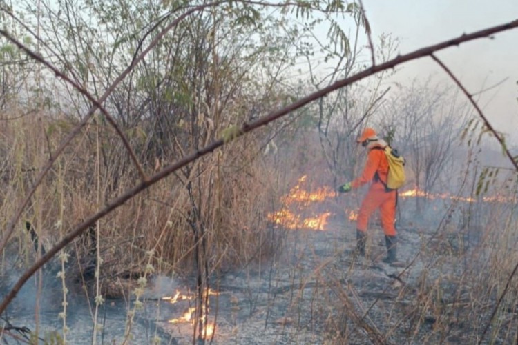 2.368 incêndios em vegetação foram apagados no Ceará entre os meses de janeiro e agosto de 2023