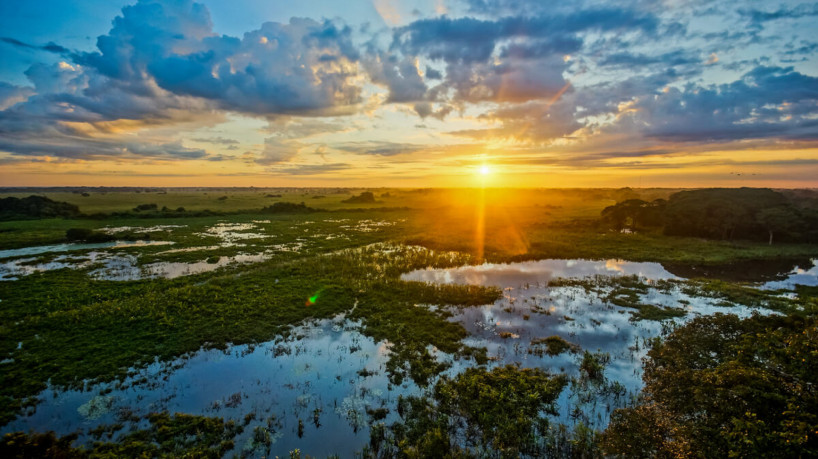 Pantanal é um dos destinos favoritos entre os turistas para apreciar as belezas naturais do Brasil (Imagem: Andre Maceira | Shutterstock)