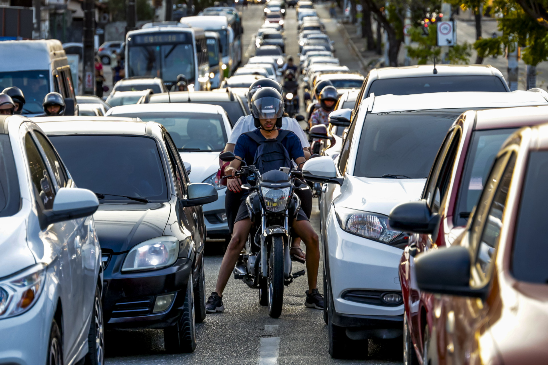 Os dados Fenabrave indicam que o acumulado em 2025 ficou em 24.103 vendas, 39,46% maior no ano a ano. (Foto: FCO FONTENELE)