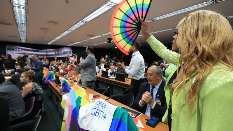 ￼MANIFESTAÇÃO em comissão da Câmara durante debate do projeto sobre união civil homoafetiva