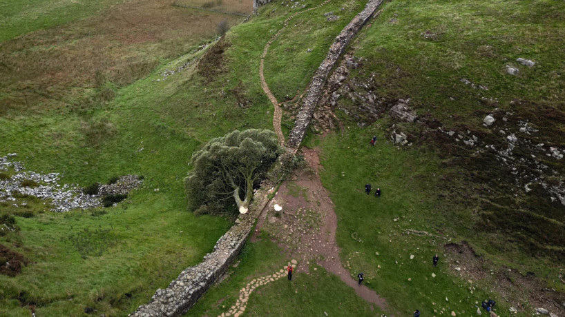 A arvore tinha por volta de 200 anos e estava localizada no Parque Nacional de Northumberland