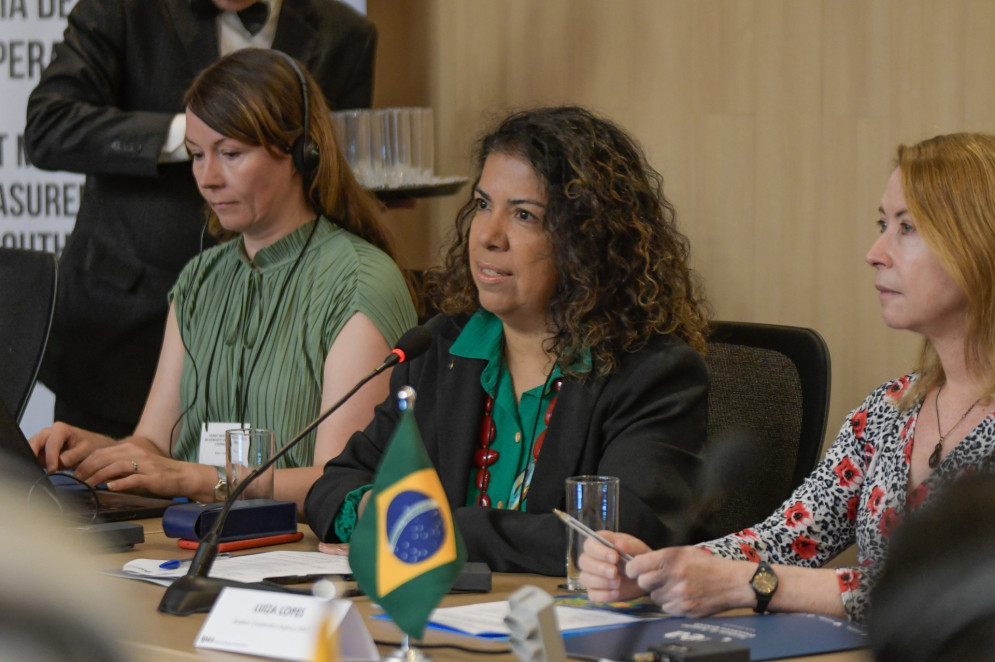 Luciana Servo em reunião internacional de especialistas para a medição da cooperação Sul-Sul(Foto: Helio Montferre/Ipea)