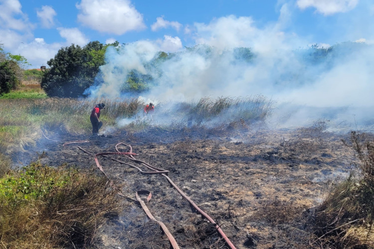 Fogo no Parque do Cocó, próximo a Cidade Ecológica do bairro Edson Queiroz