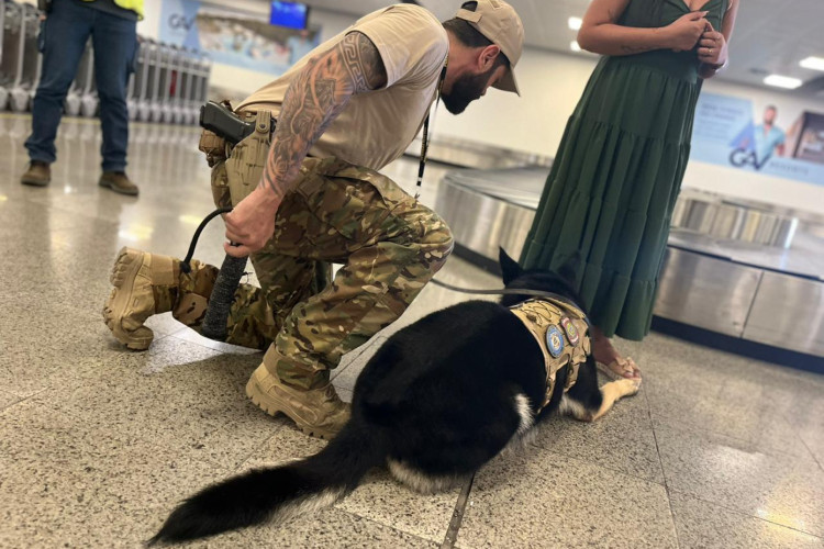 A mulher confessou a prática ilícita assim que foi flagrada pelo cão farejador