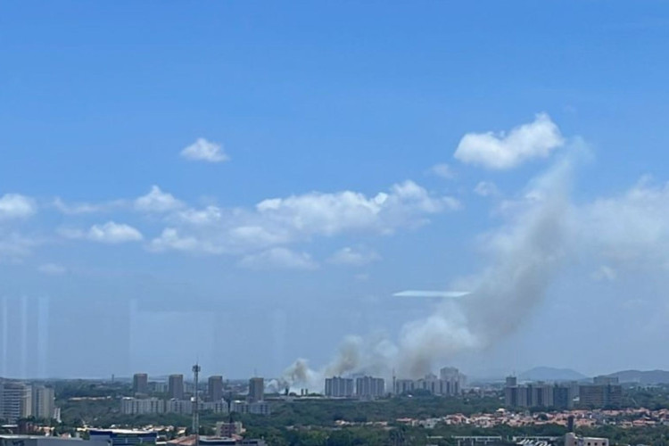 Incêndio em área verde do Messejana, em Fortaleza, nesta sexta-feira