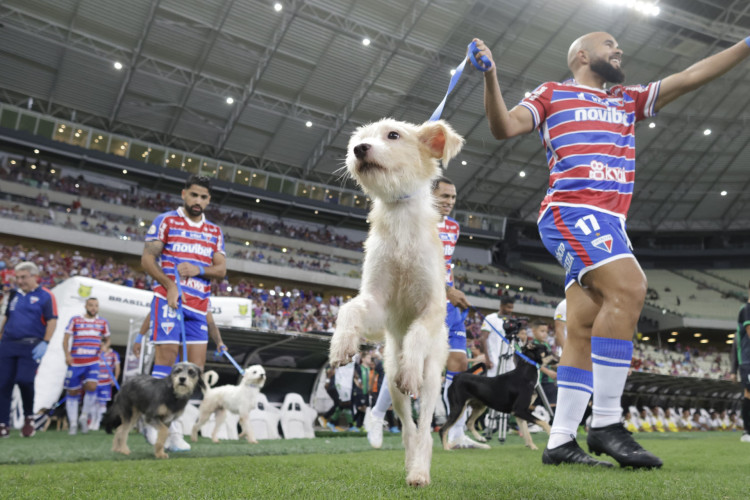 Jogadores do Fortaleza entram em campo com cachorros em ação de campanha de doação