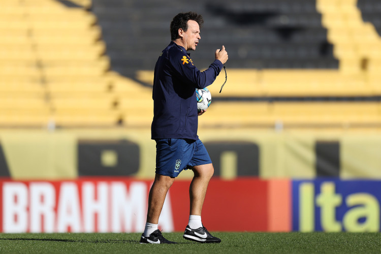 Técnico Fernando Diniz durante treinamento da seleção brasileira