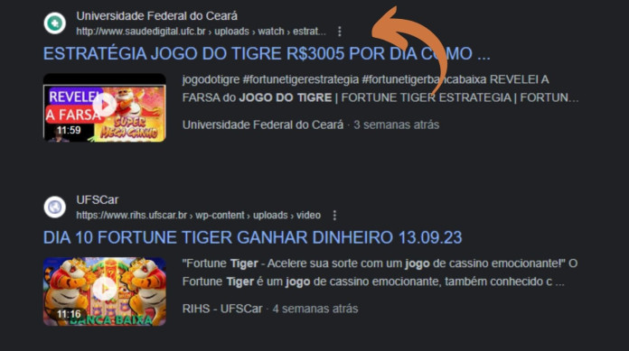 Jogo do Tigrinho, Plataforma Oficial