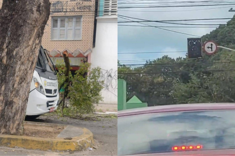 O galho de uma árvore caiu em uma calçada na avenida Duque de Caxias e atingiu a fiação elétrica do local. Semáforos da região apresentaram instabilidade