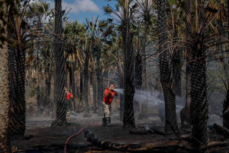 FORTALEZA-CE, BRASIL, 09-11-2023: Bombeiros trabalha apagando os focos de incendio. Incendio no bairro Cajazeiras, nao proximidades da Alberto Craveiro e BR-116. (Foto: Aurelio Alves/O Povo)