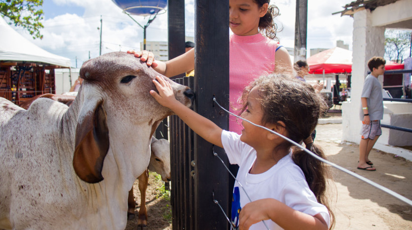 Mais de cinco mil animais estão na Expoece, em Fortaleza, e é uma das principais atrações para as crianças durante o feriado desta quarta-feira, 15