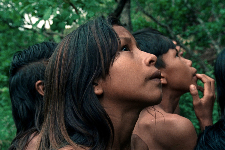  Longa premiado no Festival de Cannes "A Flor do Buriti"