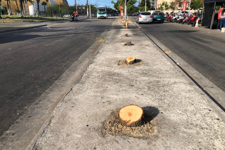 Árvores cortadas no canteiro central a lado do North Shopping Jóquei, em Fortaleza. Shopping se responsabilizará pelo plantio de novas árvores no mesmo local, conforme a Prefeitura