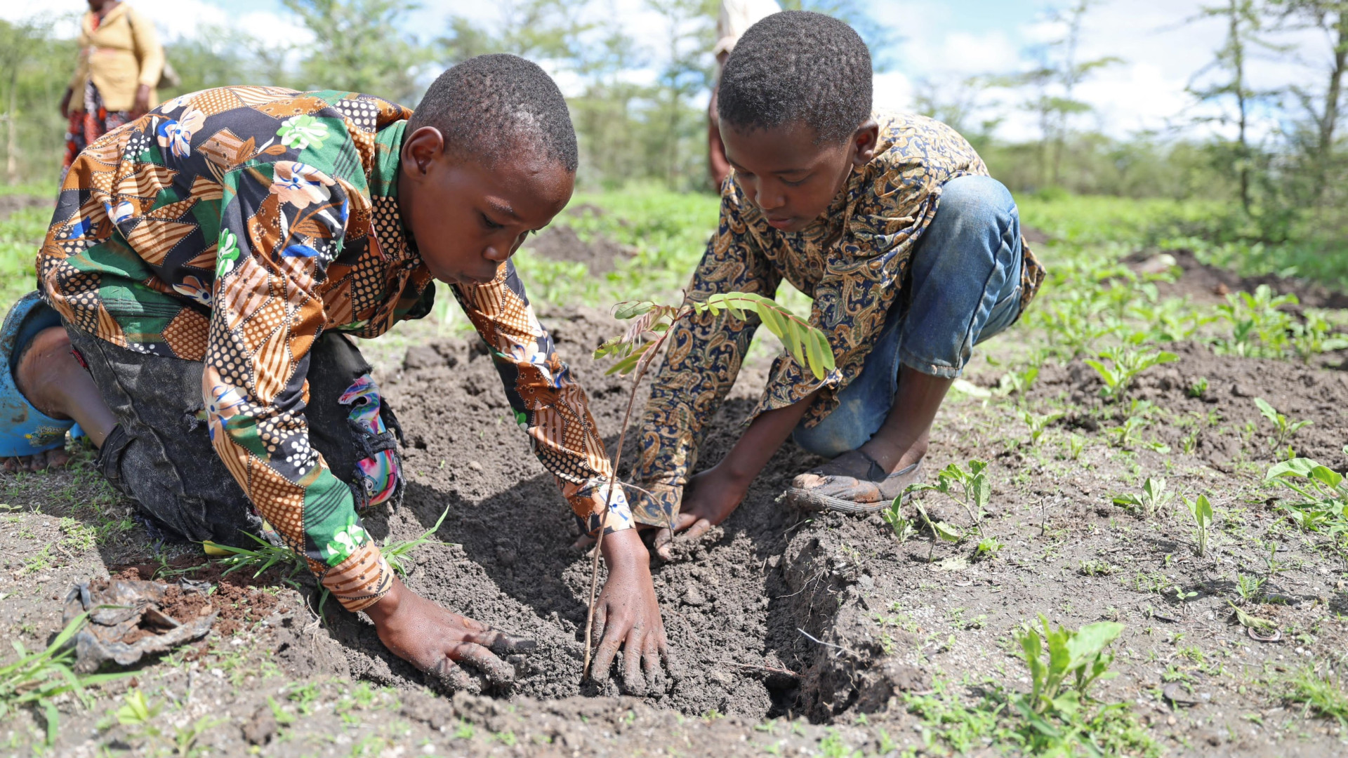 No Quênia, o dia 13 de novembro é o Dia Dia Nacional do Plantio de Árvores. (Foto: Reprodução/ X William Samoei Ruto)