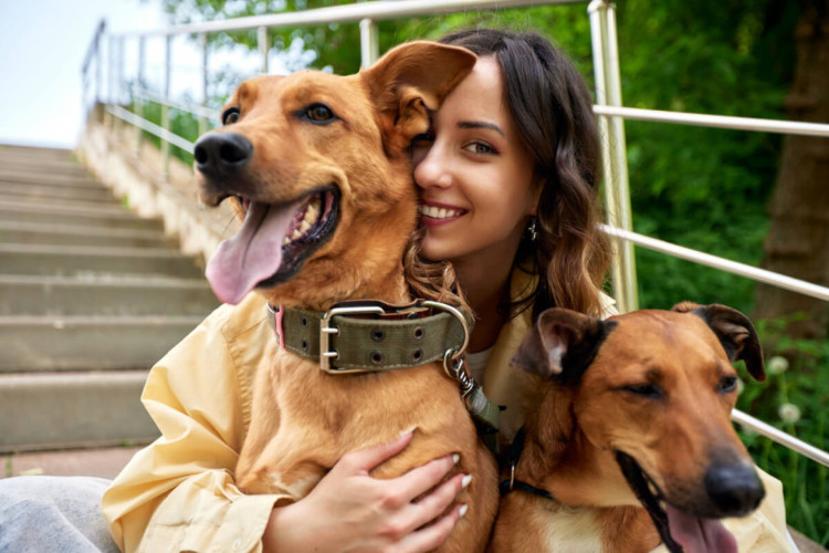 Ter mais de um cachorro pode ser benéfico tanto para o animal quanto para o tutor (Imagem: Gerain0812 | Shutterstock)