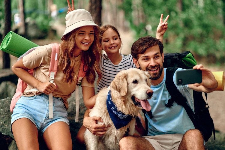 Para preservar o bem-estar dos pets, é importante planejar os mínimos detalhes da viagem (Imagem: ORION PRODUCTION | Shutterstock) 