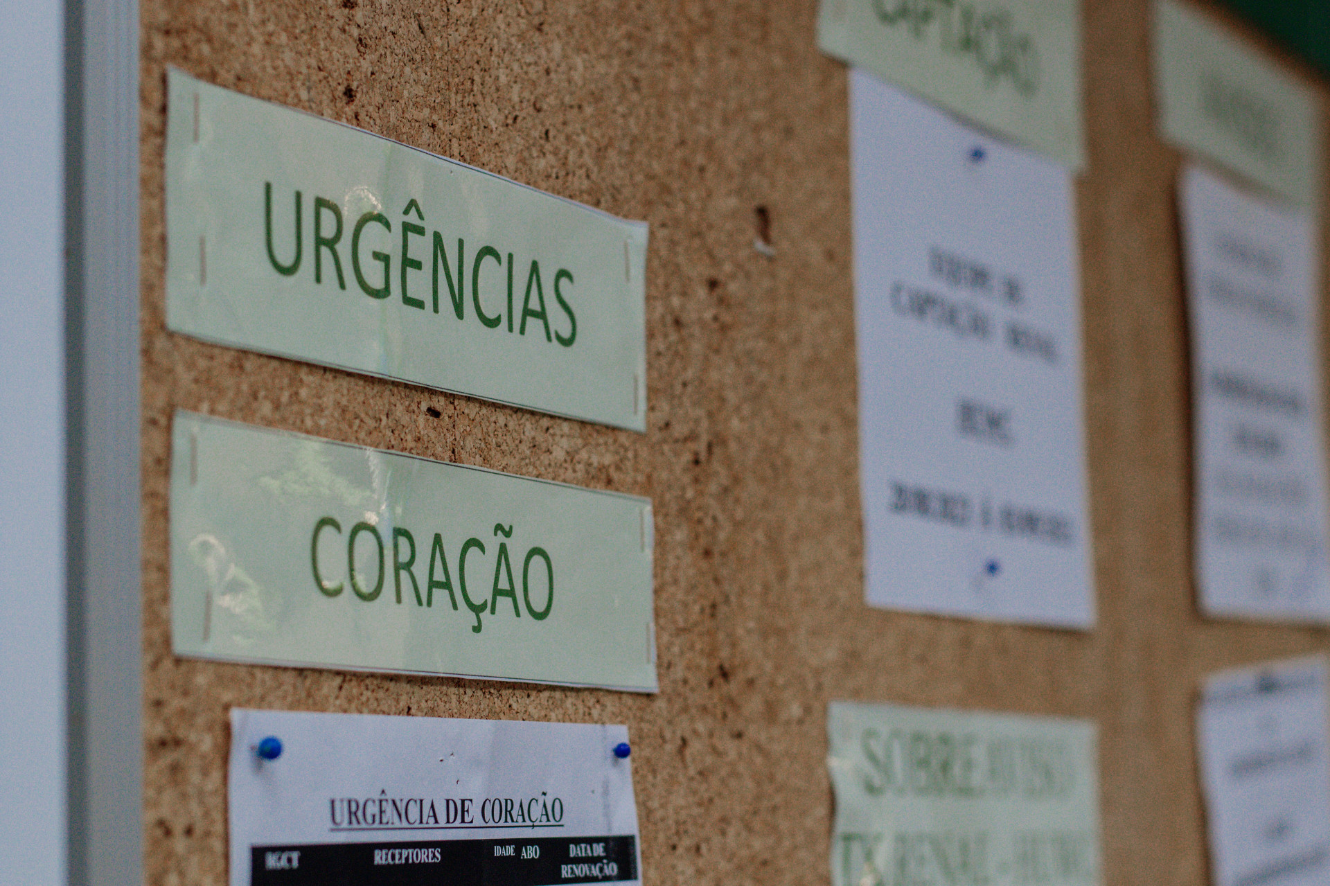 Espaço de monitoramento de transplante de orgãos (Foto:Fernanda Barros/O Povo) (Foto: FERNANDA BARROS)