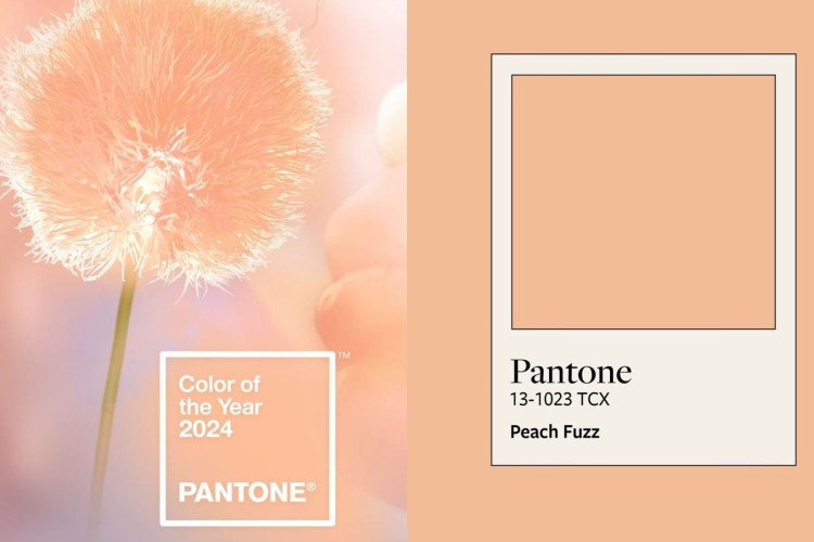 Pantone anuncia "Pêssego Gentil" como a cor do ano de 2024