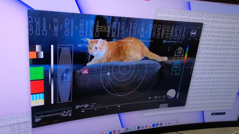 Gravação de gato enviada do espaço profundo até a Terra pode abrir caminho para humanos em Marte