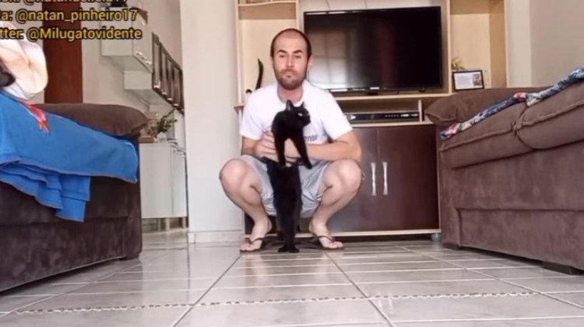 'Gato vidente' Milu fez sua aposta para a Mega da Virada. 