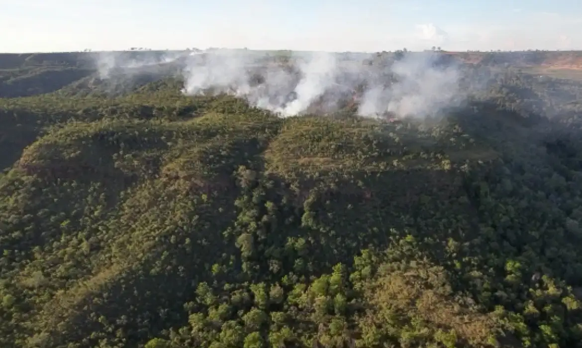 Incêndio atinge divisa do Santuário de Elefantes em Mato Grosso