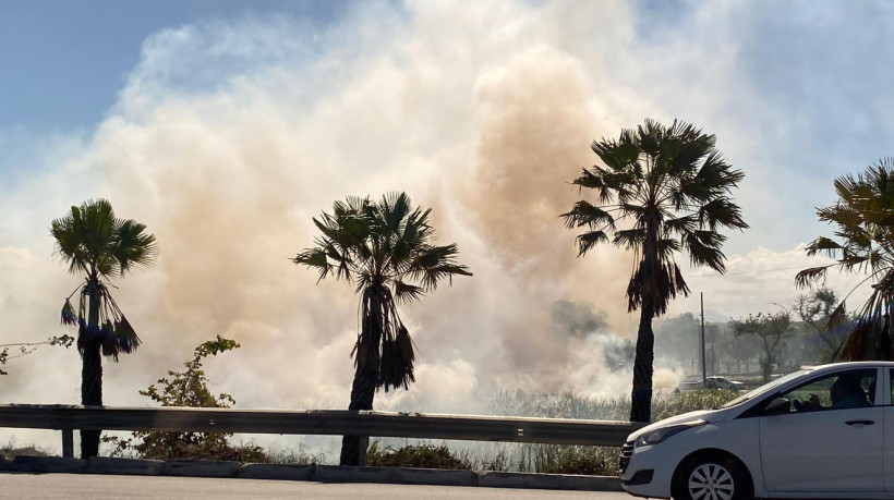 Incêndio no entorno do viaduto sobre a BR-116 foi registrado na tarde deste sábado, 30