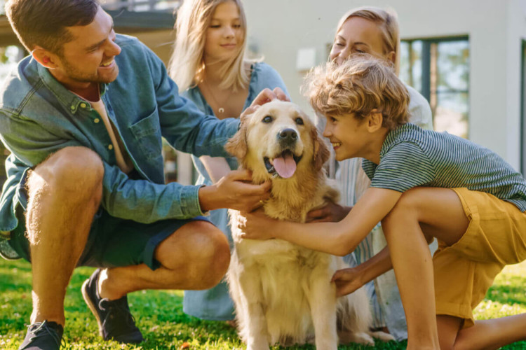 Adotar um pet exige responsabilidade (Imagem: Gorodenkoff | Shutterstock)