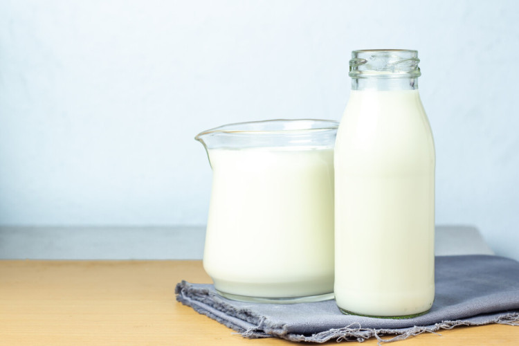 Alimentos que substituem a lactose mantêm a saúde de pessoas intolerantes à substância (Imagem: Scream band | Shutterstock)