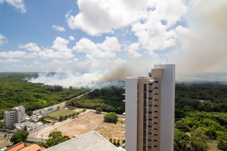 Incêndio no Parque do Cocó tem gerado fumaça que invade as casas em Fortaleza