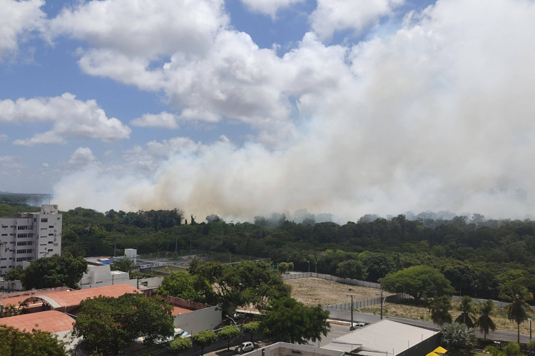 Moradores de diferentes bairros de Fortaleza compartilham relatos sobre incêndio no Cocó