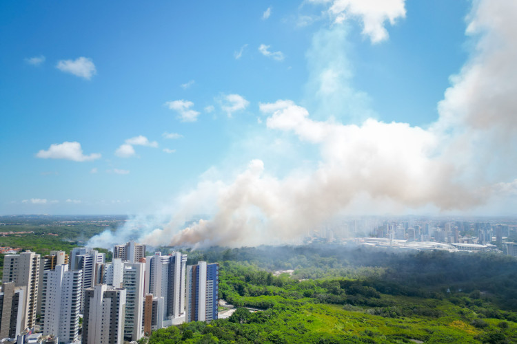 FORTALEZA-CE, BRASIL, 18-01-2023: Incêndio atinge Parque do Cocó, e fumaça se espalha por bairros de Fortaleza. (Foto: Aurélio Alves/O Povo)