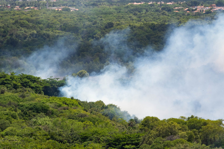 Incêndio em Fortaleza: o que se sabe até agora sobre fogo que atinge Cocó