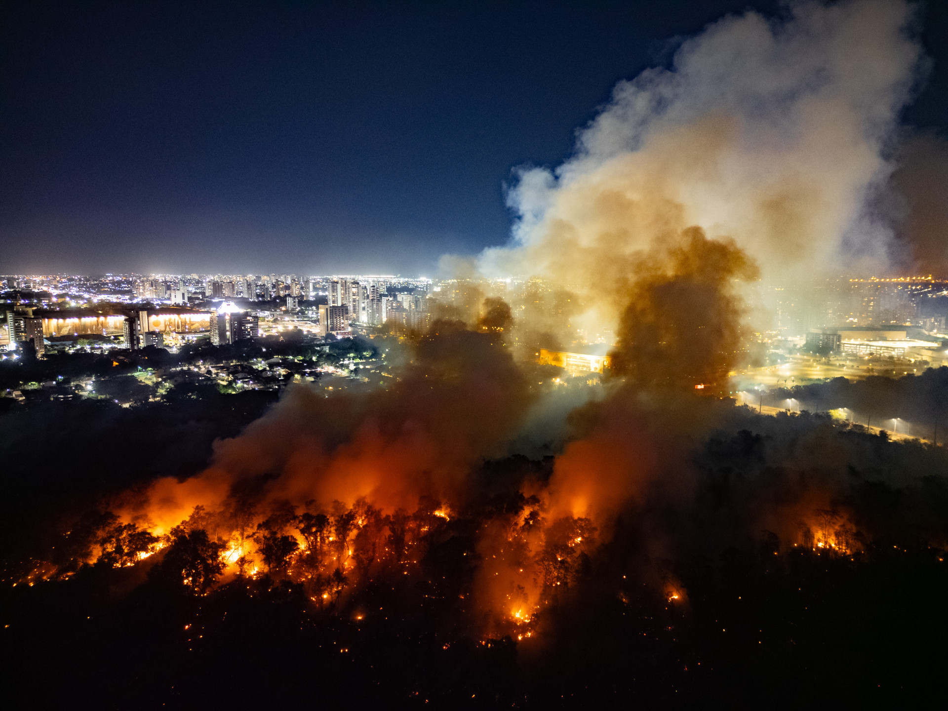 Incêndio no Parque do Cocó   fumaça se espalhou por bairros de Fortaleza e chamou a atenção para a necessidade de proteção
 (Foto: AURÉLIO ALVES)