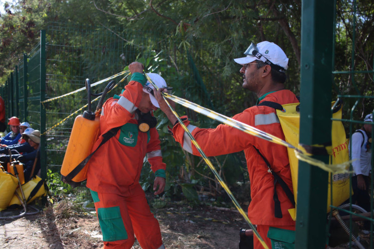 Parque do Cocó ainda conta com focos de incêndio que atingem a parte subterrânea da área atingida