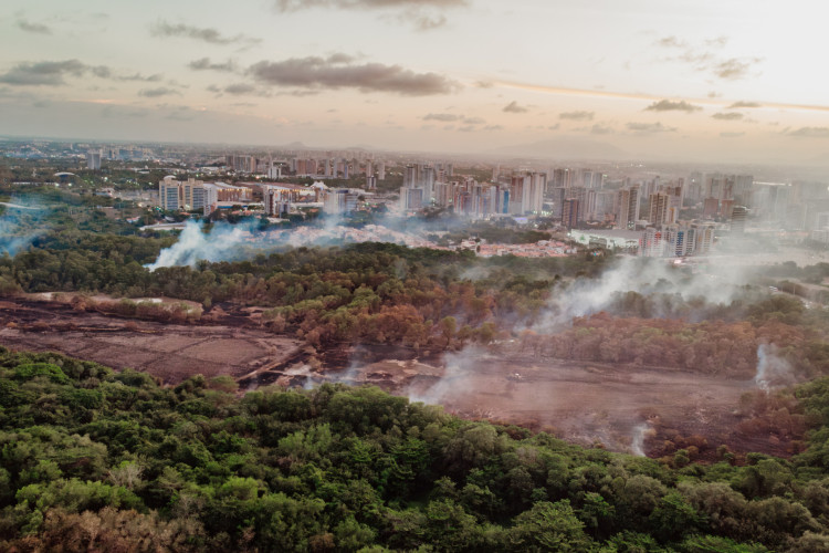 ￼INCÊNDIO começou no Cocó na manhã de quinta-feira passada