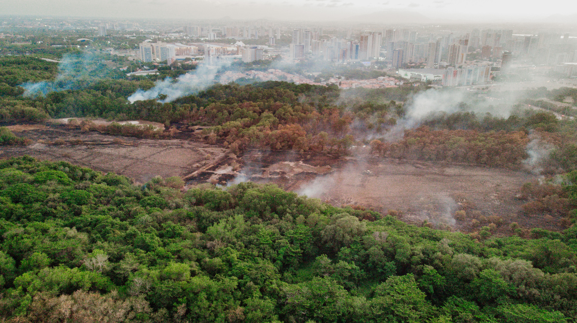 ￼Iniciado na quarta-feira, 17, incêndio do Parque Ecológico do Cocó foi controlado neste domingo, 21 (Foto: JÚLIO CAESAR)