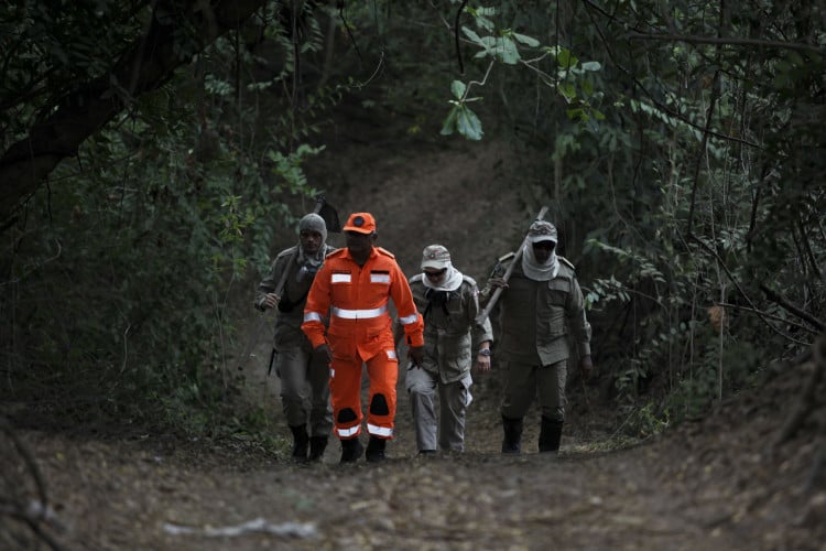 FORTALEZA, CEARÁ, BRASIL, 22.01.2024: Agentes do corpo de bombeiros fazem trabalhos para conter fogo no Cocó.