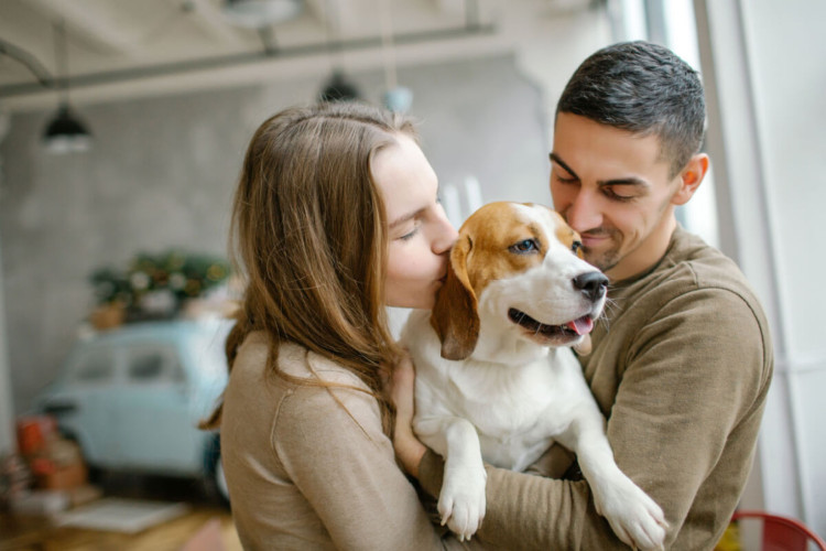 Animais de estimação podem auxiliar no tratamento de ansiedade e depressão (Imagem: Katsiaryna Pakhomava | Shutterstock)