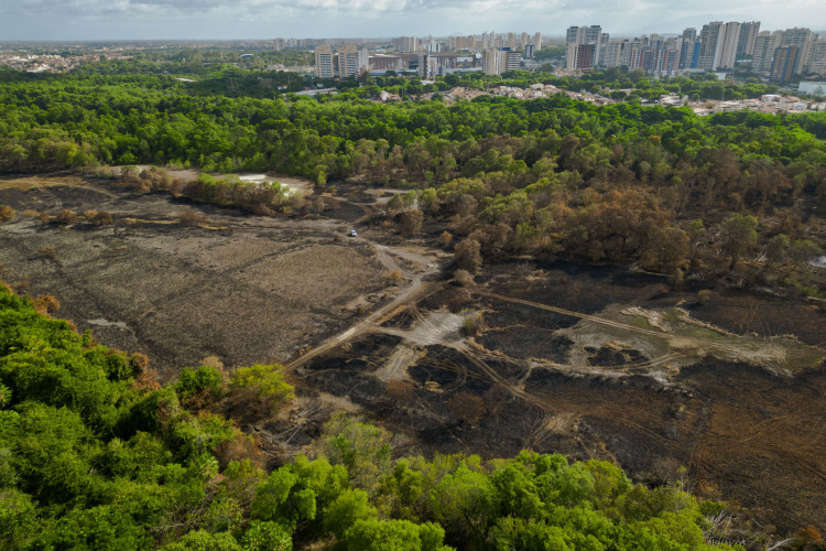 Cocó: incêndio de grandes proporções atingiu área do Parque