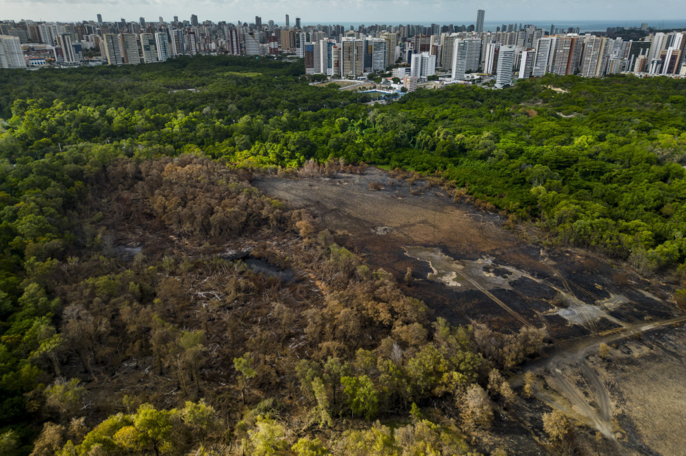 Área do Parque do Cocó após um grande incêndio iniciado entre  17 e 22 de janeiro de 2024.(Foto: FCO FONTENELE)