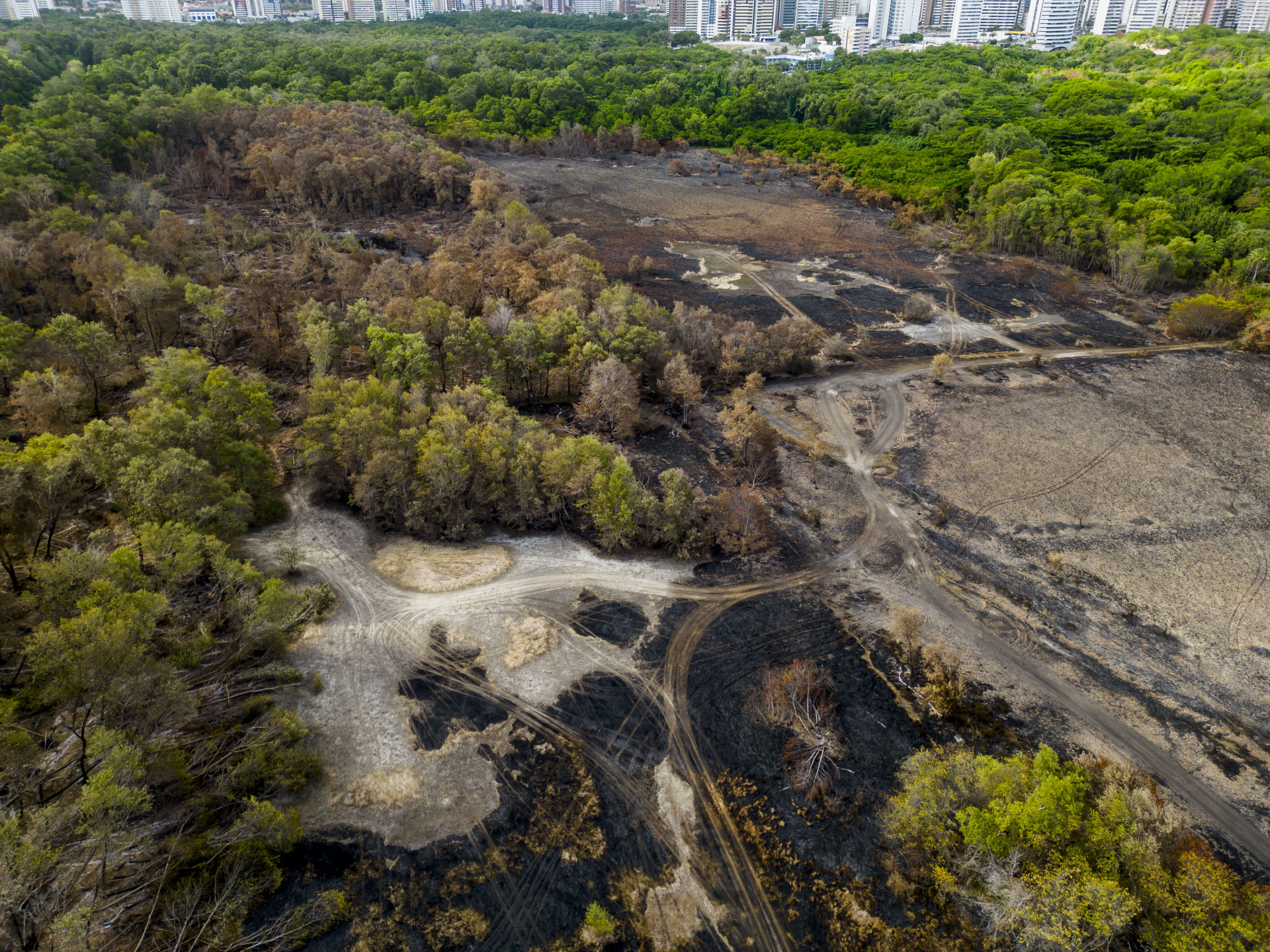 ￼PARTE da área atingida pelo fogo era degradada, diz Sema (Foto: FCO FONTENELE)