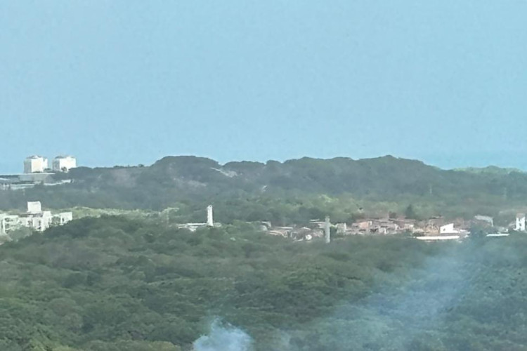 Fumaça no Parque do Cocó, na tarde desta terça-feira, 23